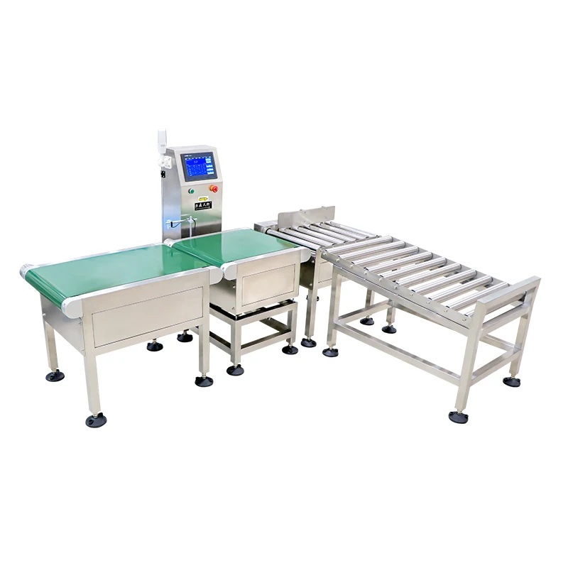 Assembly Checkweigher Scale
